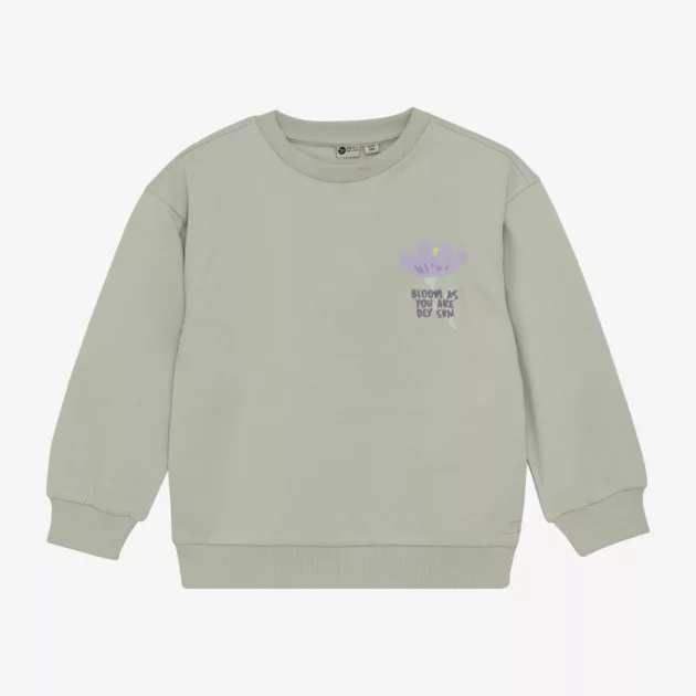 Sweat vert sauge imprimé dos d7