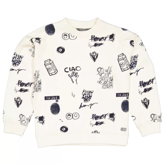 Sweat motif divers garçon
